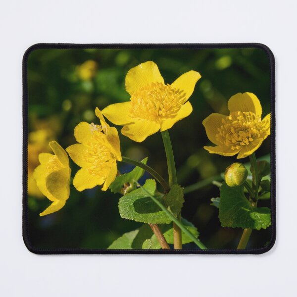 Item preview, Hide of a flower spider. Marsh Marigold designed and sold by Jouko Lehto Photography.