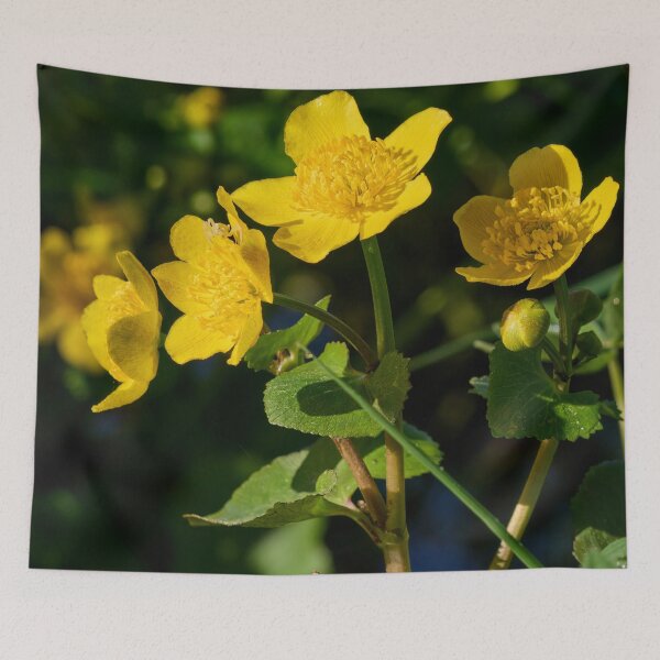 Item preview, Hide of a flower spider. Marsh Marigold designed and sold by Jouko Lehto Photography.
