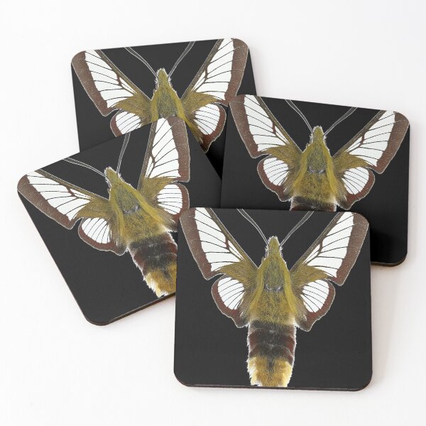Item preview, Moth Butterfly Insect Bee Hemaris designed and sold by paynchiafx.