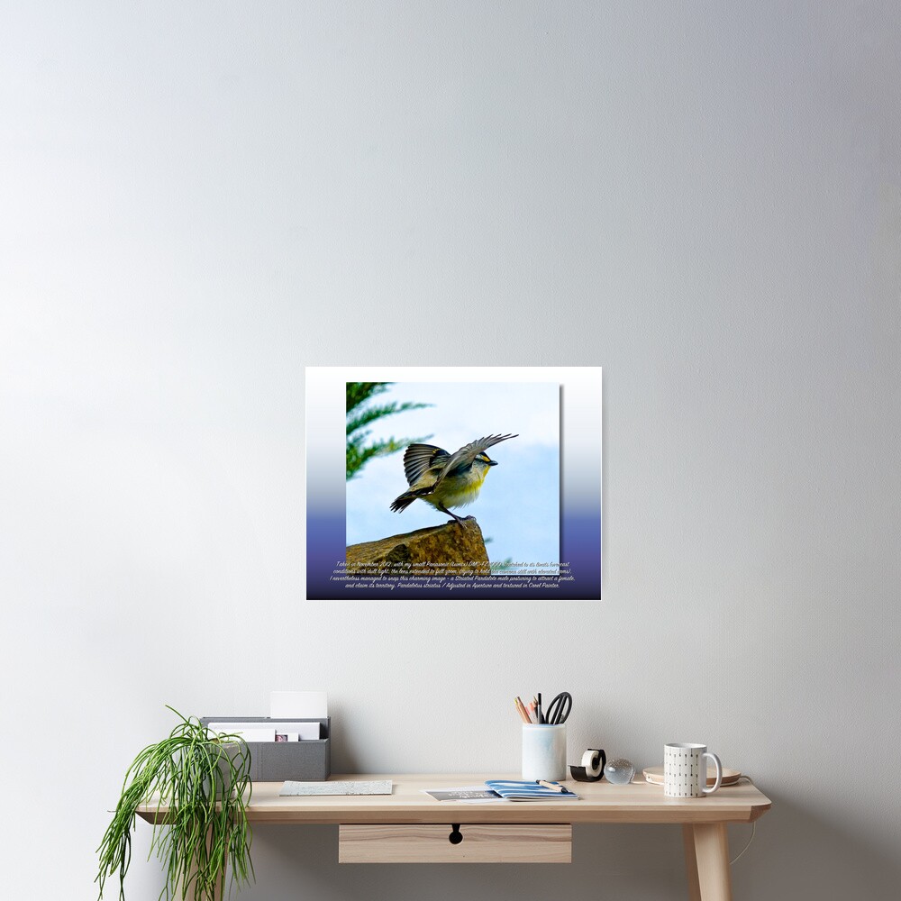 Item preview, Poster designed and sold by tasmanianartist.