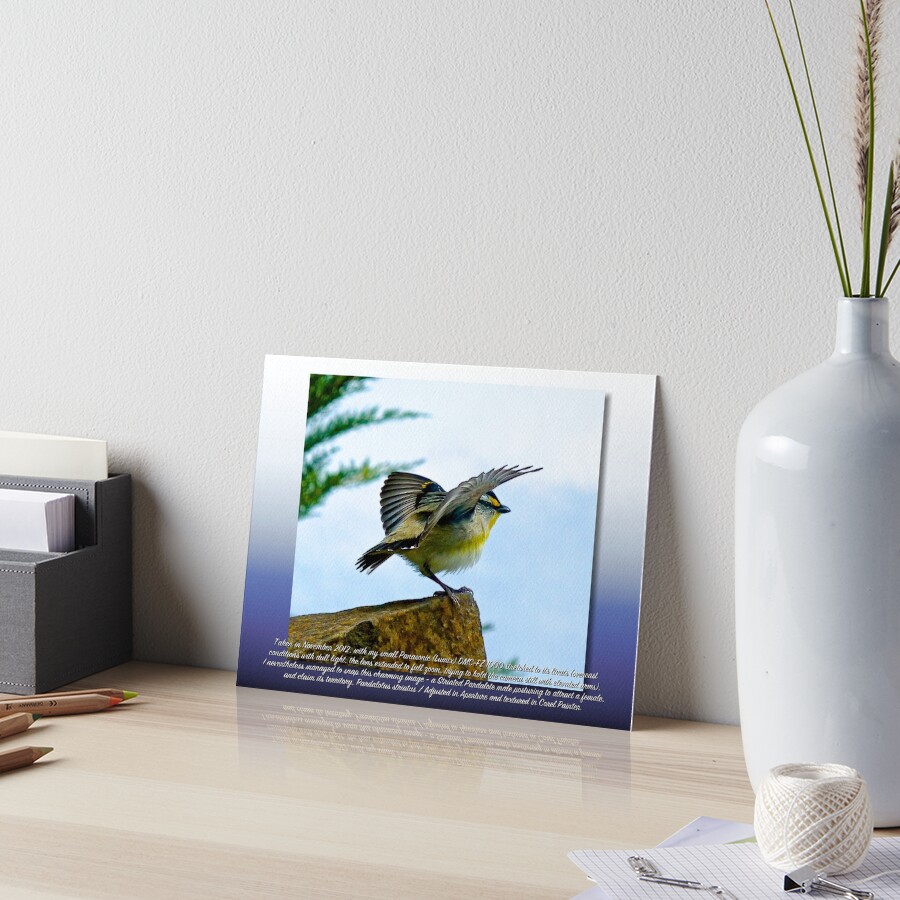 Item preview, Art Board Print designed and sold by tasmanianartist.