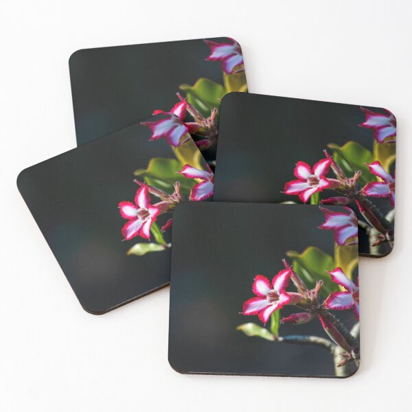 Item preview, African Lily Flower designed and sold by Alison Lee Rubie.