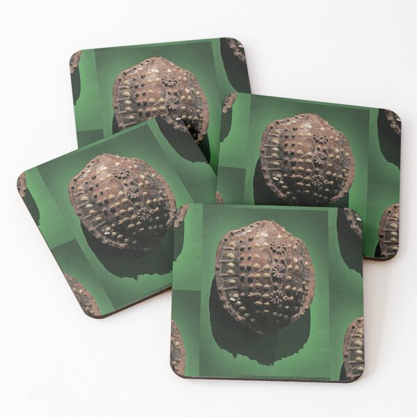 Item preview, vr 3263 / finition 2023 - 48   Musée Branly-Chirac à Paris sur le Cameroun - Okaio Créations  Olavia-Olao designed and sold by o.okaïo.