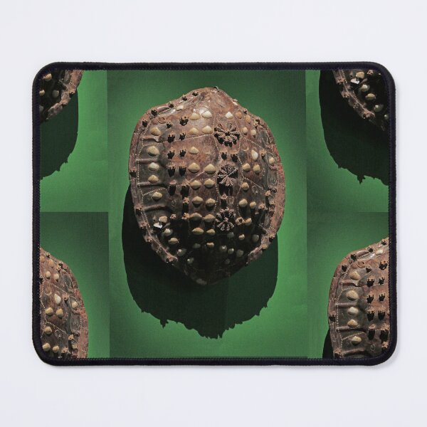 Item preview, vr 3263 / finition 2023 - 48 Musée Branly-Chirac à Paris sur le Cameroun - Okaio Créations Olavia-Olao designed and sold by o.okaïo.