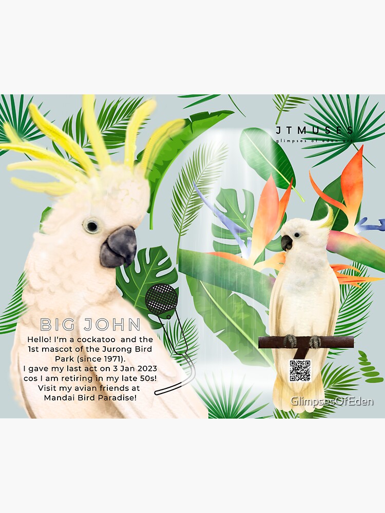 Tropical Bird Friends Vinyl