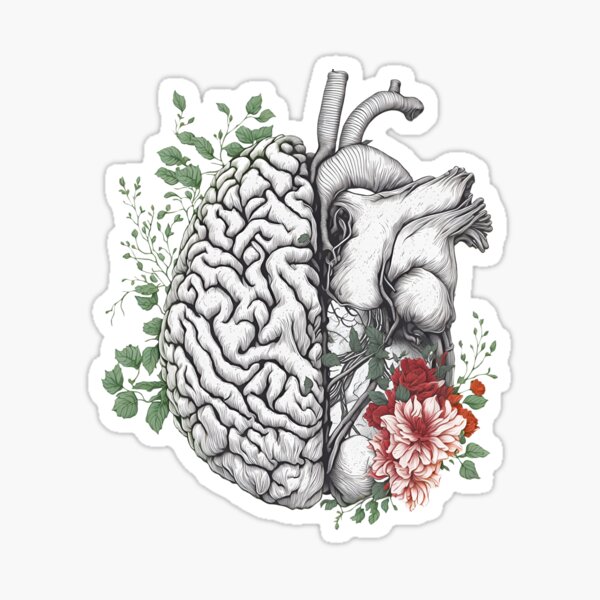 half brain half heart, brain or heart and feeling, human