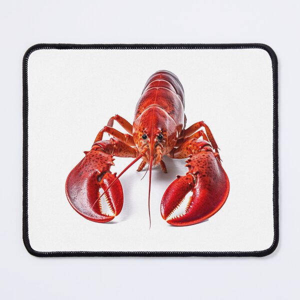 Item preview, Maine Lobster designed and sold by VTcountrydigital.