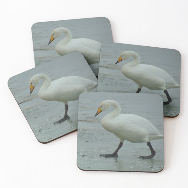 Item preview, Walking On Thin Ice - Whooper Swan designed and sold by altonbear.