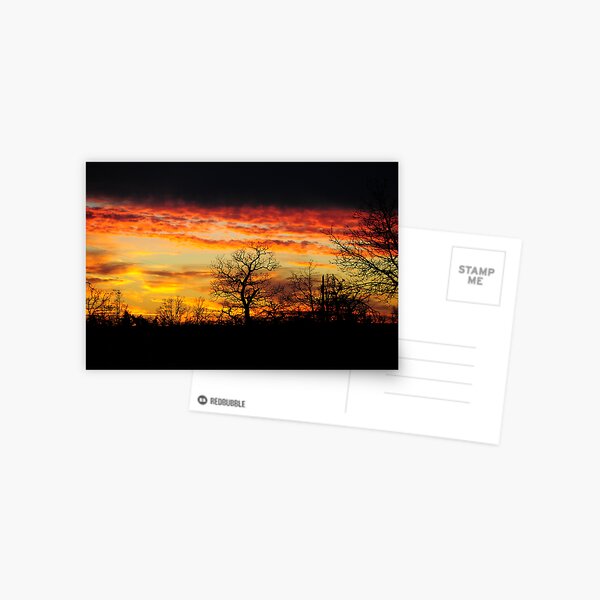 Flames On High Postcard