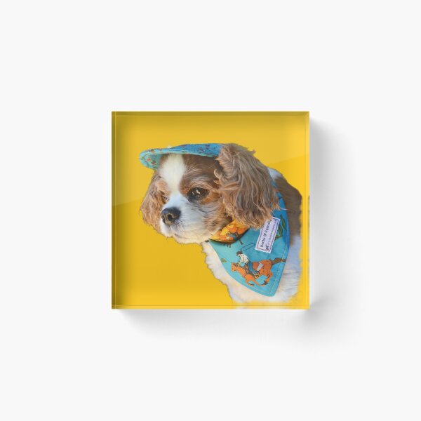 Item preview, Henry the Cavalier King Charles Spaniel designed and sold by barksandsqueaks.
