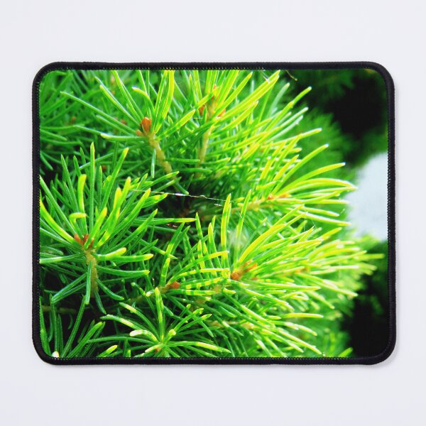Item preview, Nature - pine - macro - green designed and sold by Connys Colorful World.