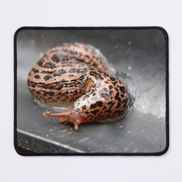 Item preview, Tiger Slug Series (3) designed and sold by carotulu.