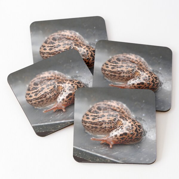 Item preview, Tiger Slug Series (3) designed and sold by carotulu.