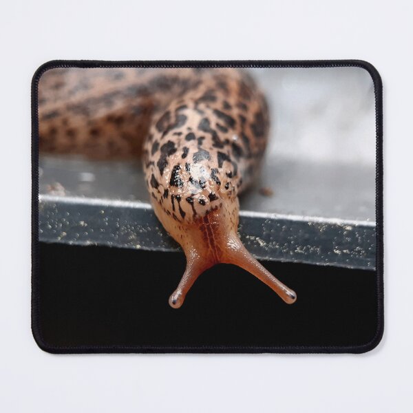 Item preview, Tiger Slug Series (1) designed and sold by carotulu.