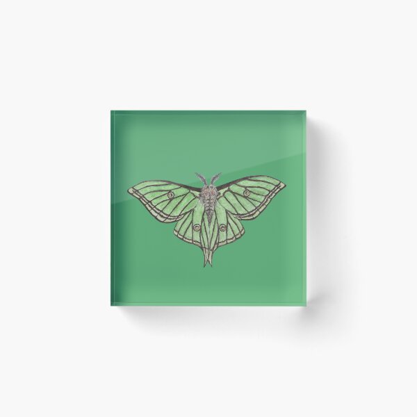 Item preview, The Spanish Moon Moth (Graellsia isabellae) designed and sold by ClaraFied.