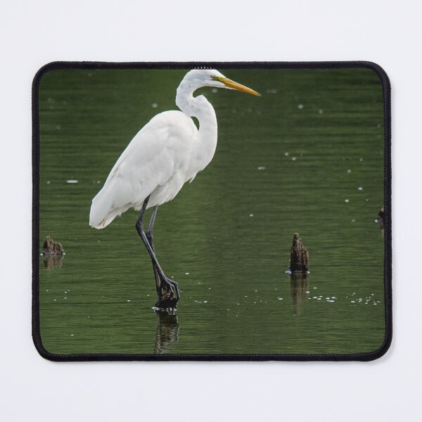 Item preview, Great Egret designed and sold by irishmurr.