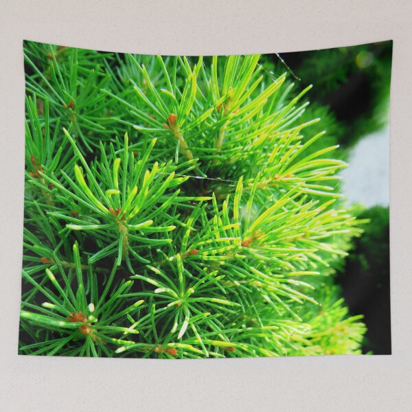 Item preview, Nature - pine - macro - green designed and sold by Connys Colorful World.