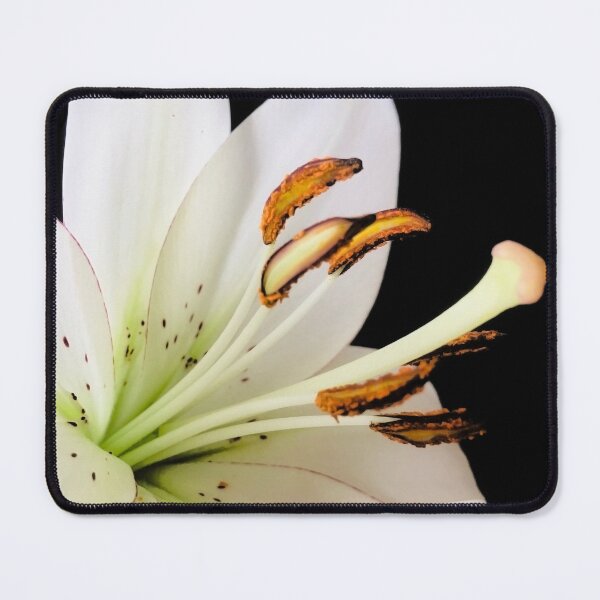 Item preview, White Lily designed and sold by Jasna Dragun.