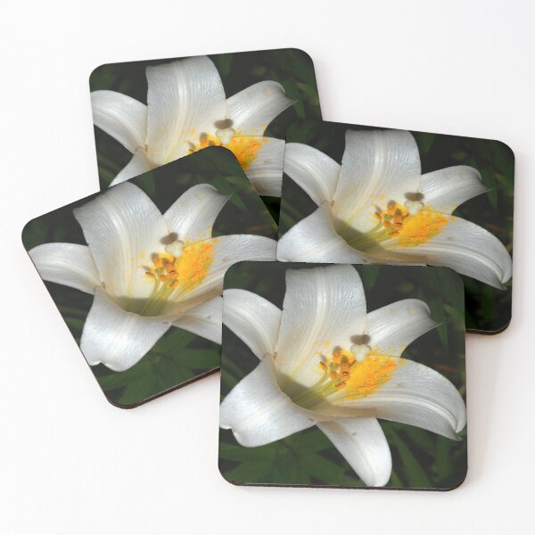 Item preview, Abundant pollen designed and sold by B. Randi Bailey.