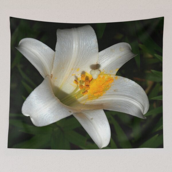 Item preview, Abundant pollen designed and sold by B. Randi Bailey.
