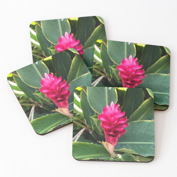 Item preview, Alpinia Purpurata Red Ginger Flower - Mexican Floral Photography designed and sold by YemmyZImages.
