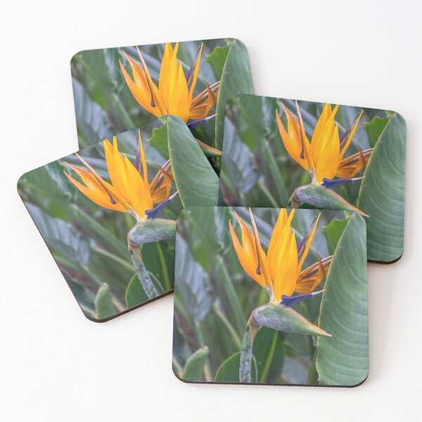 Item preview, Bird of Paradise flower designed and sold by TDArtShop.