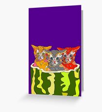 Cats in Watermelon Jacuzzi Greeting Card