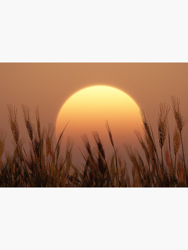 Thumbnail 3 of 3, Poster, Sunset designed and sold by FrankThomas.
