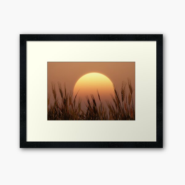 Sunset Framed Art Print