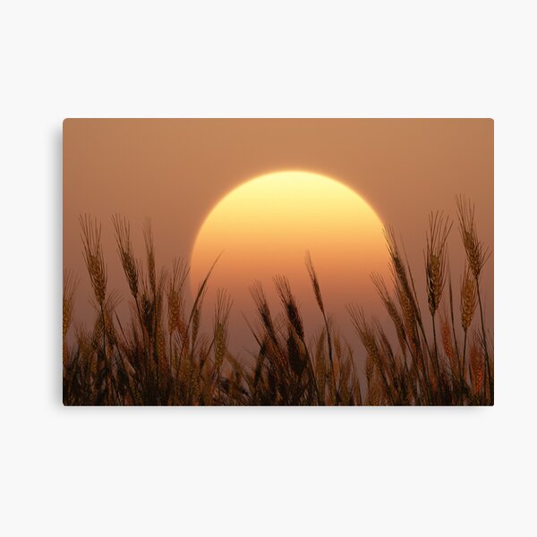 Sunset Canvas Print