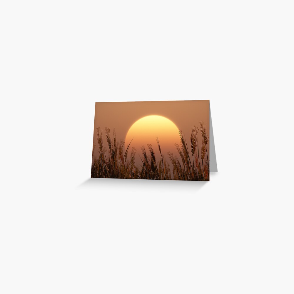 Item preview, Greeting Card designed and sold by FrankThomas.