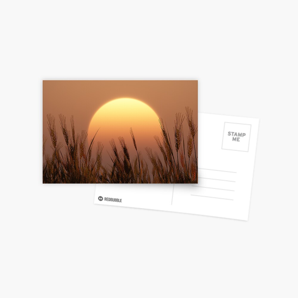 Item preview, Postcard designed and sold by FrankThomas.