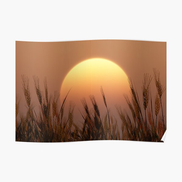Sunset Poster