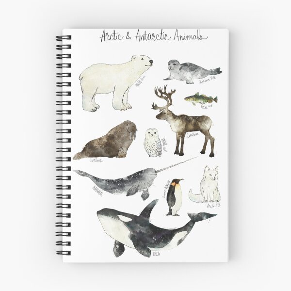 Item preview, Arctic & Antarctic Animals designed and sold by CruzBisqueMode.
