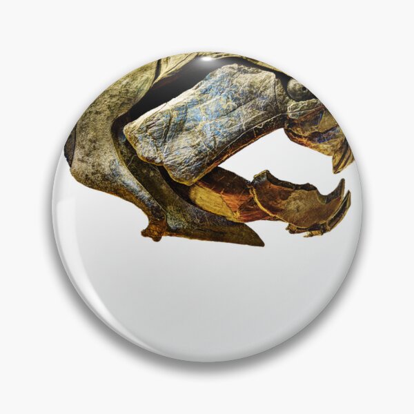Item preview, Dunkleosteus skull designed and sold by FashionistaMan.