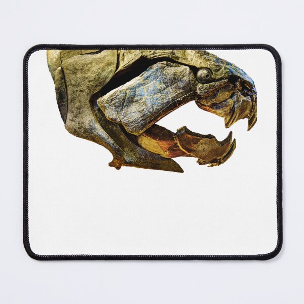 Item preview, Dunkleosteus skull designed and sold by FashionistaMan.