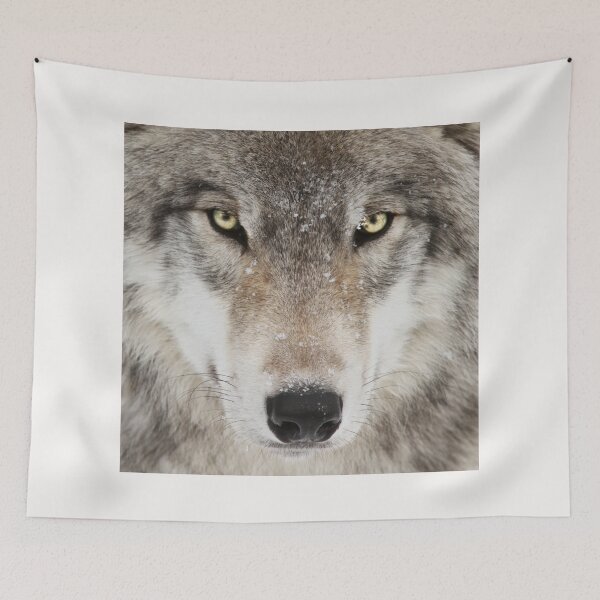 Item preview, Arctic Wolf  designed and sold by Kathleen Douglas.
