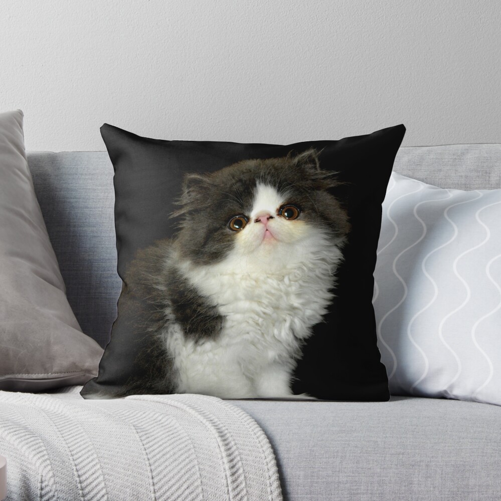 Cute Little Fluffy Black And White Kitten Throw Pillow By Hollycooper Redbubble