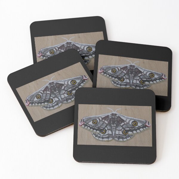 Item preview, Emperor Moth on Wood designed and sold by OdysseanPress.
