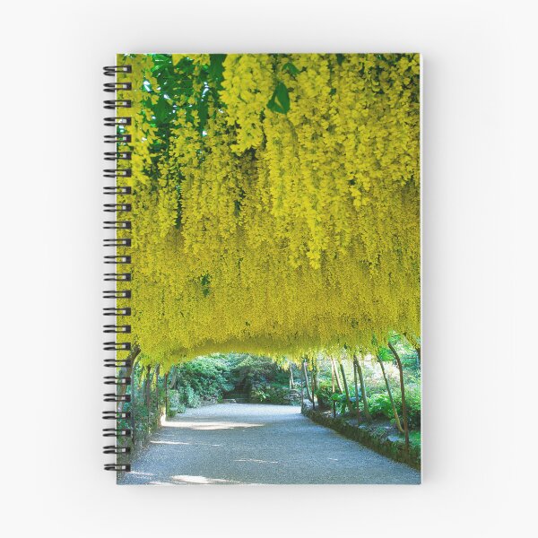 Item preview, Laburnum Arch designed and sold by TheoPhotoraphy.