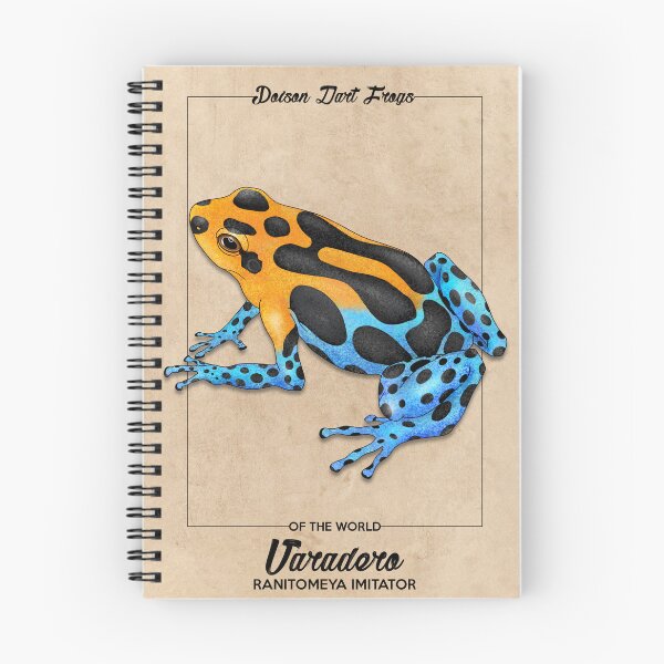 Item preview, Ranitomeya imitator Varadero poison dart frog designed and sold by sahasa-artist.