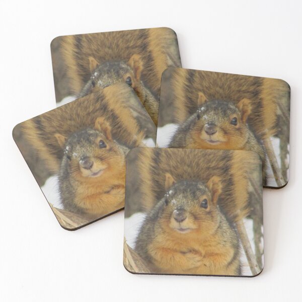 Item preview, Snowy Squirrel designed and sold by Simple Joys Photography.