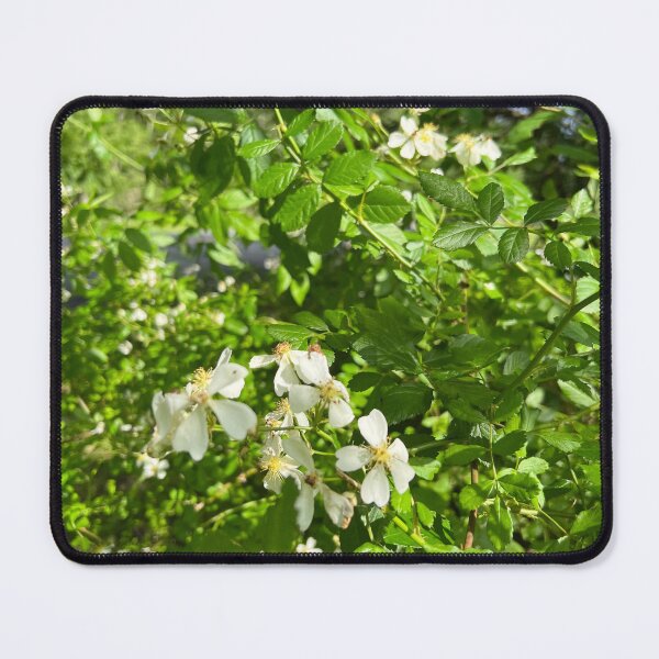 Item preview, Wild Roses designed and sold by Stephanie Fay.