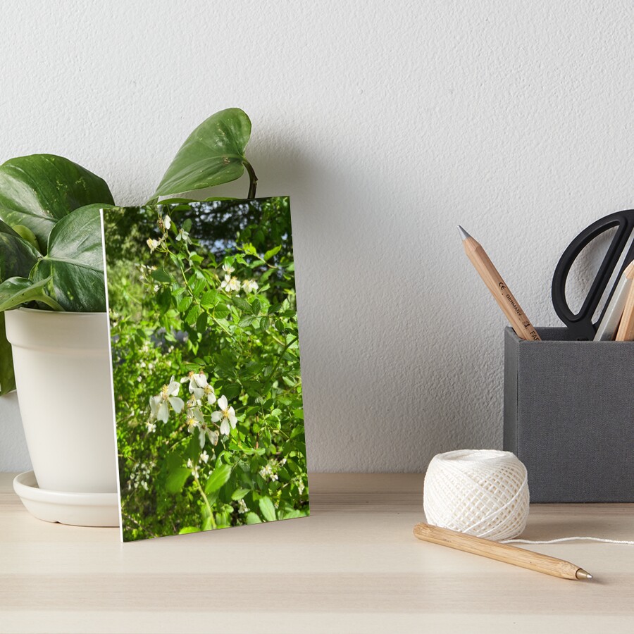 Item preview, Art Board Print designed and sold by cathpinc.