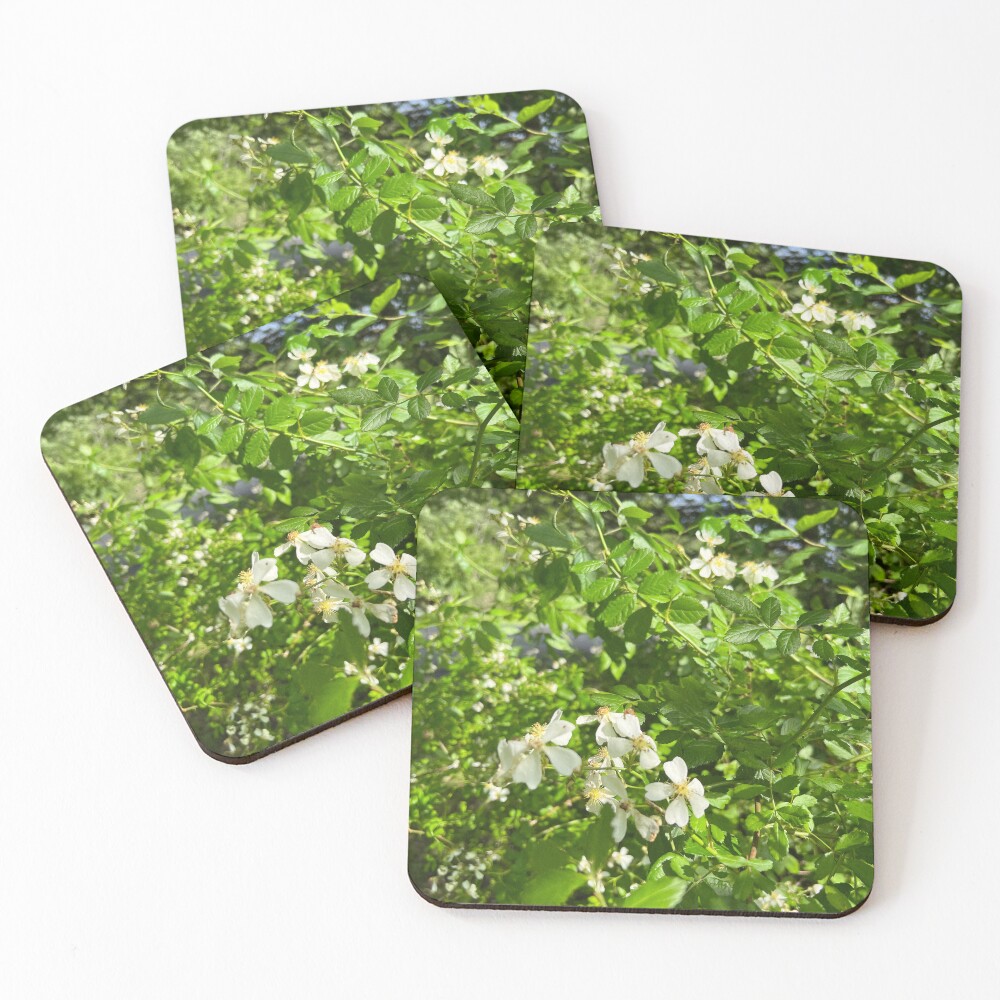 Item preview, Coasters (Set of 4) designed and sold by cathpinc.