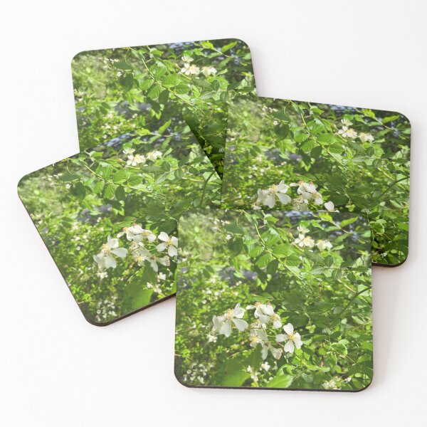 Item preview, Wild Roses designed and sold by Stephanie Fay.