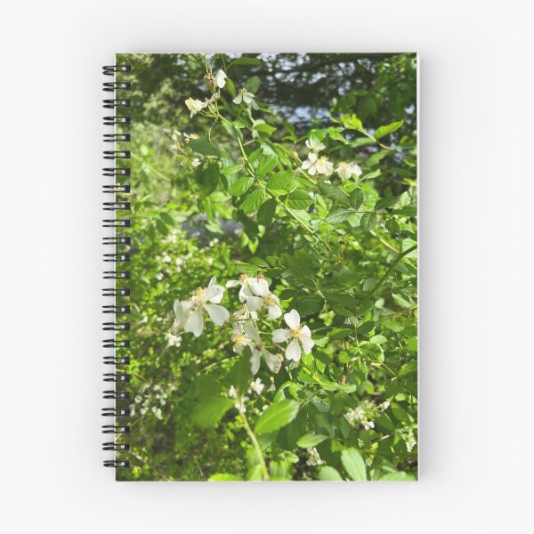 Item preview, Wild Roses designed and sold by Stephanie Fay.