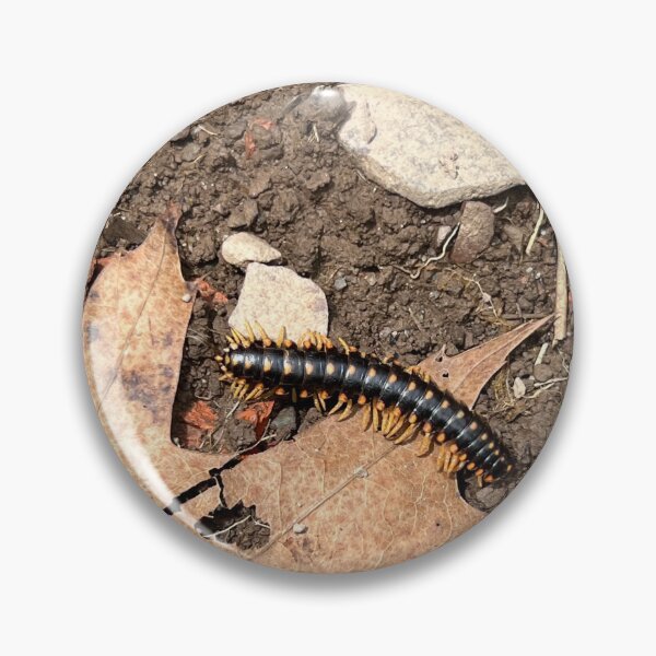 Item preview, Millipede  designed and sold by Stephanie Fay.