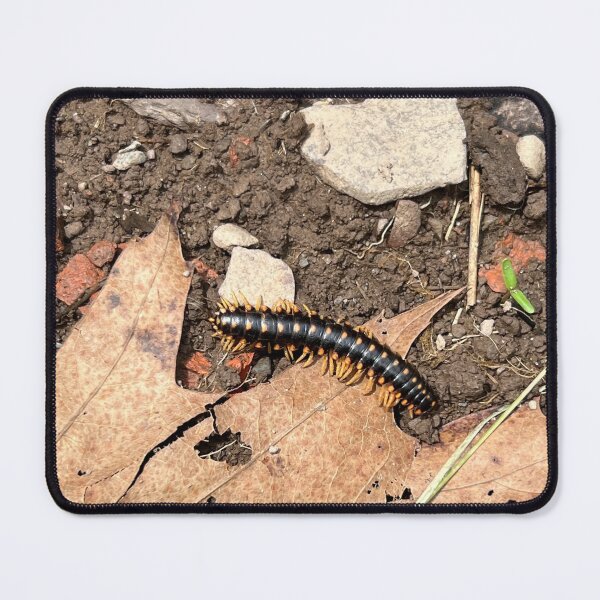Item preview, Millipede  designed and sold by Stephanie Fay.