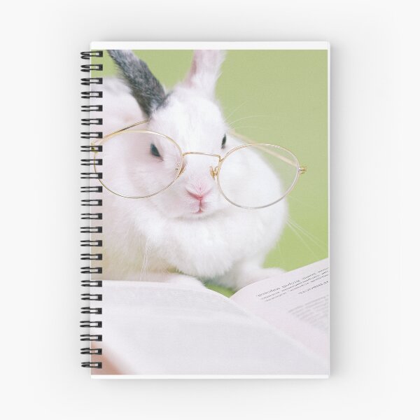 Item preview, Study Bunny designed and sold by MomMamaMaaam.